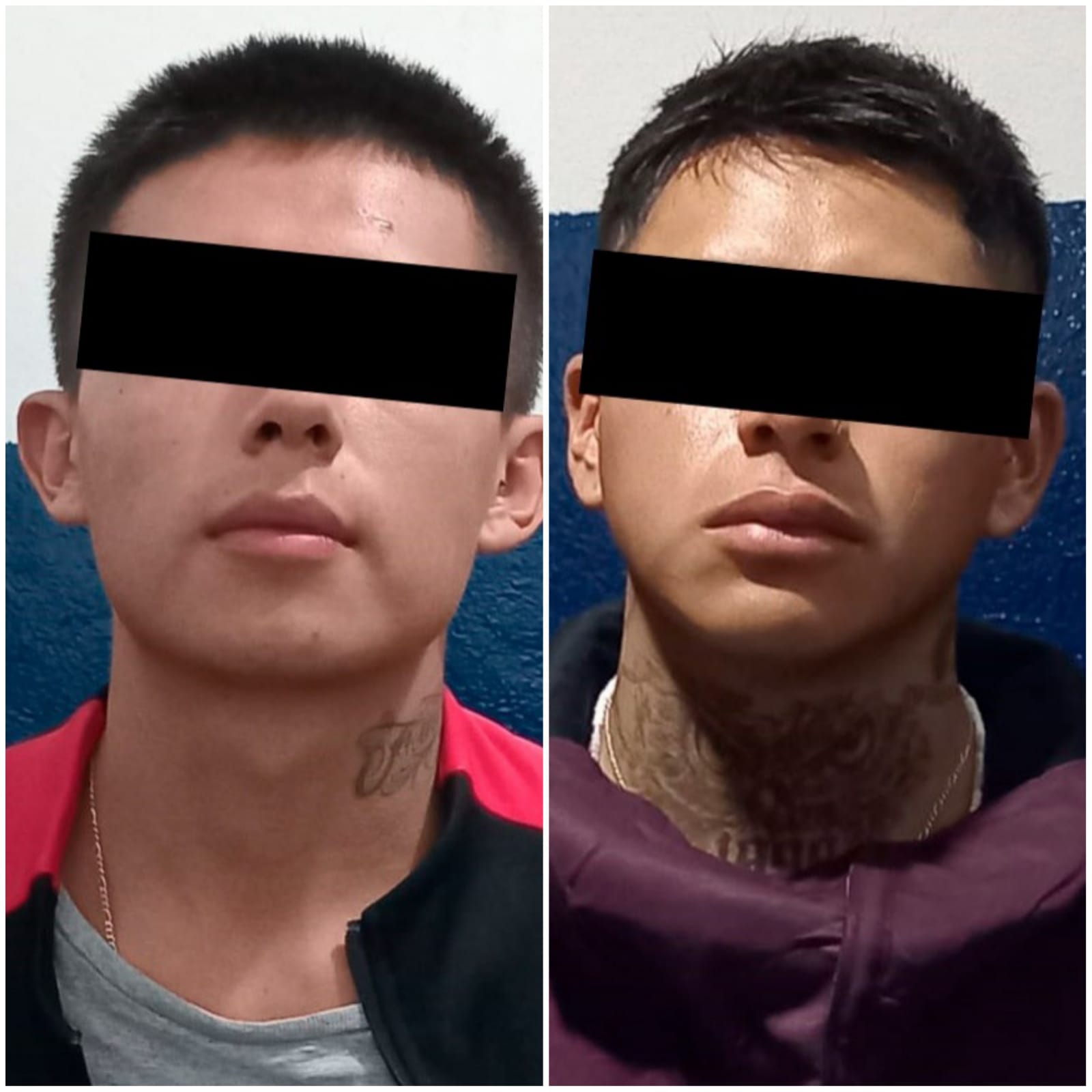 Detuvieron a dos sujetos por robo a casa habitación