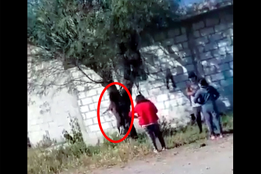 Invidente ahorcó a perrita por agresiva; el Gobierno ya presentó denuncia ante la FGE