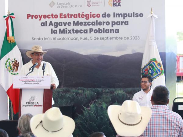 Con acciones del programa “Impulso al Agave Mezcalero”, gobierno detona desarrollo de la Mixteca