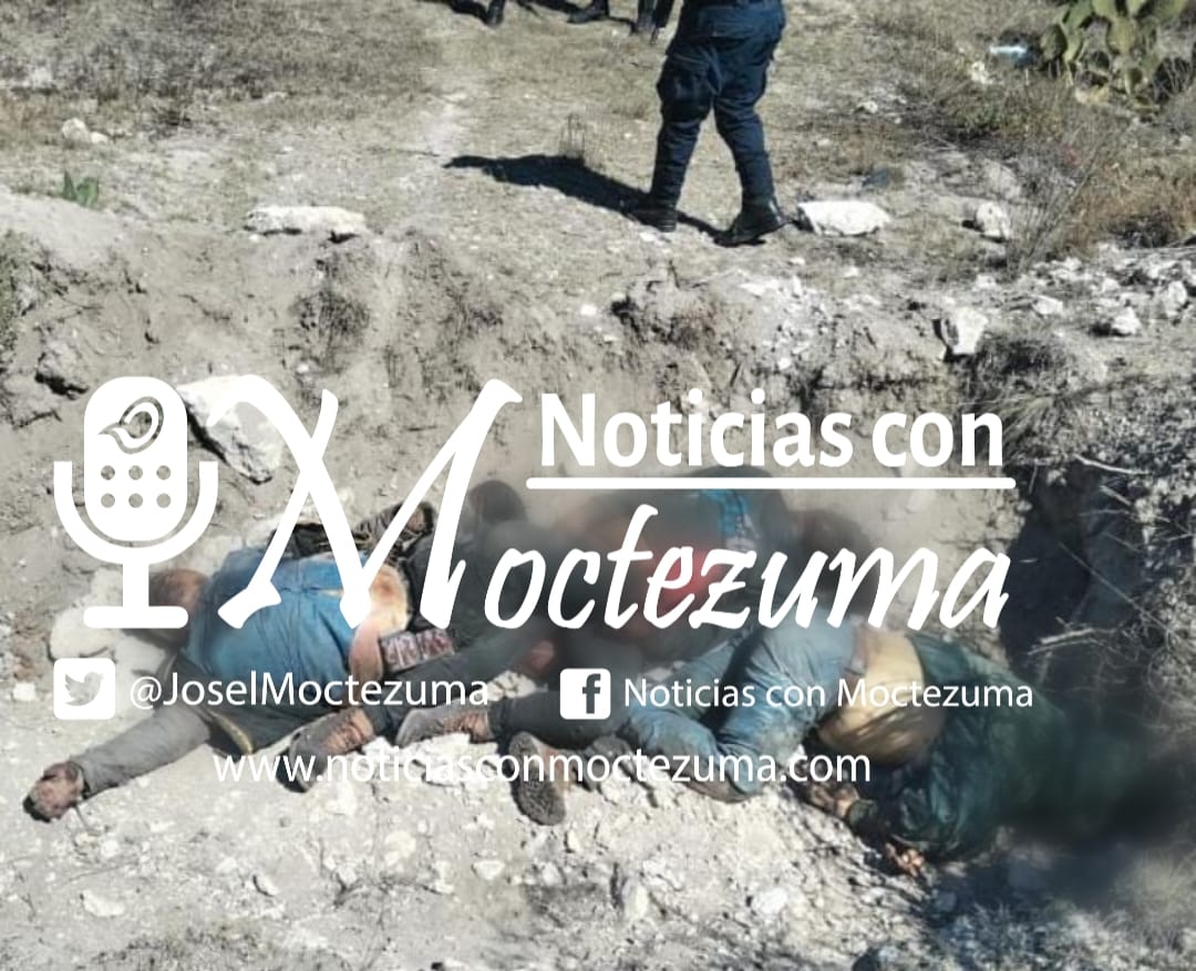 Suman 29 muertos ejecutados en Puebla, Amozoc y Palmar de Bravo
