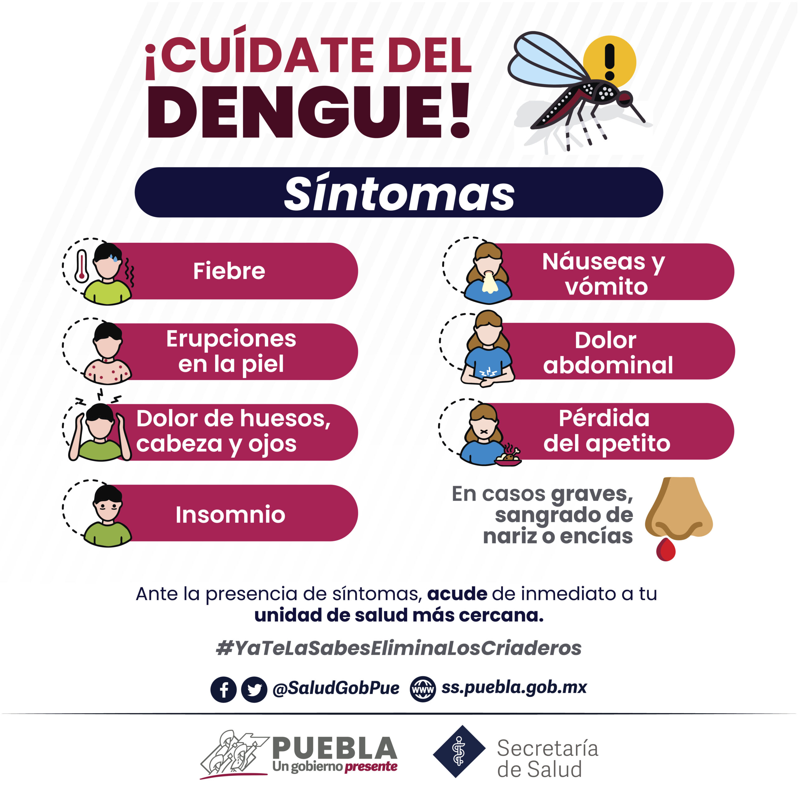 Puebla, con ocho personas hospitalizadas por dengue: Salud