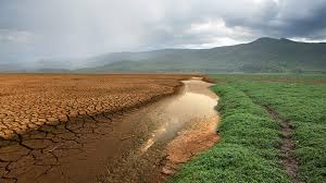 Académico IBERO Puebla explica los efectos del cambio climático en la salud