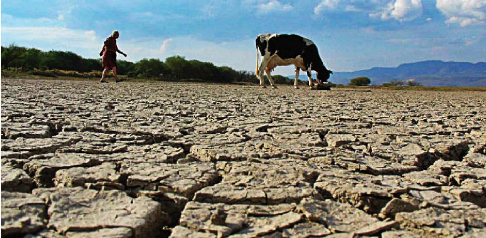 Sequía prende focos rojos en 13 entidades del país, incluida CDMX; uso agrícola también