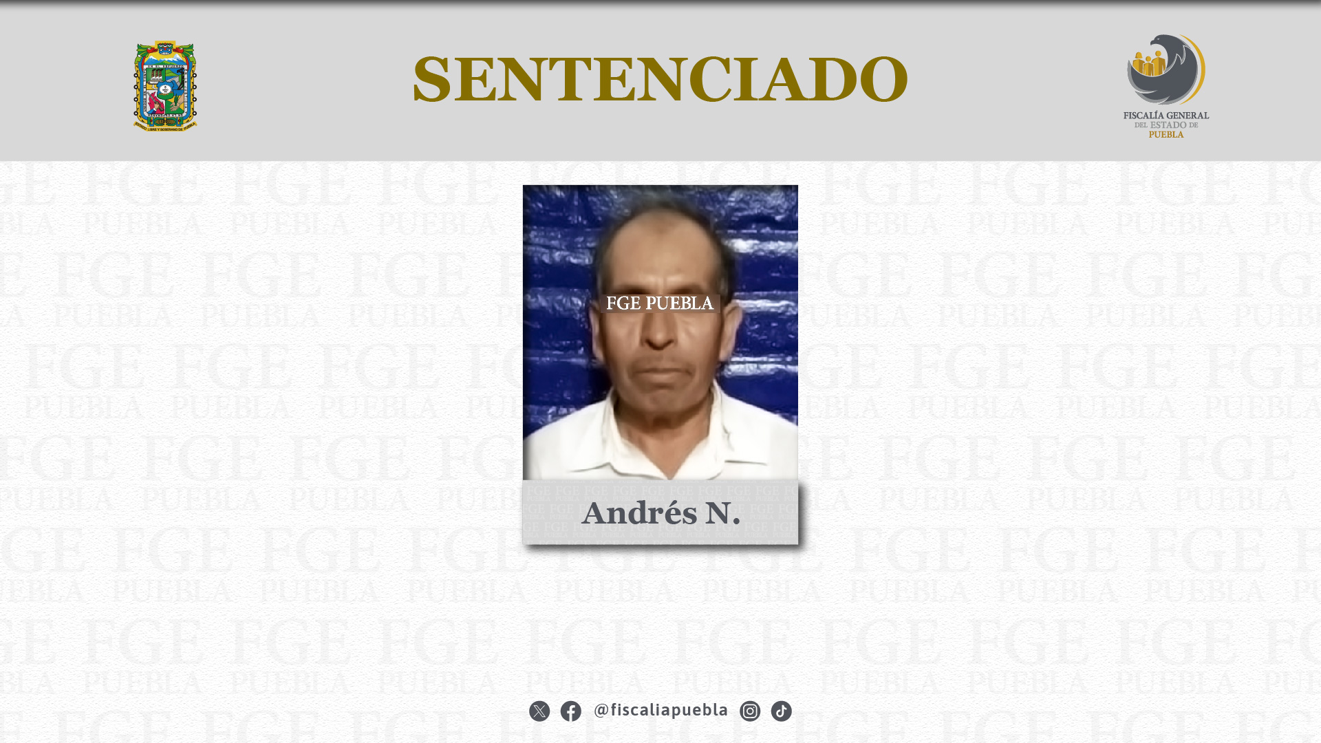 Andrés fue sentenciado por ocasionar la muerte de dos perros en Tehuacán; los agarró a machetazos