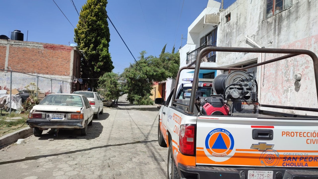 Atiende Protección Civil de San Pedro Cholula reportes por fuertes vientos
