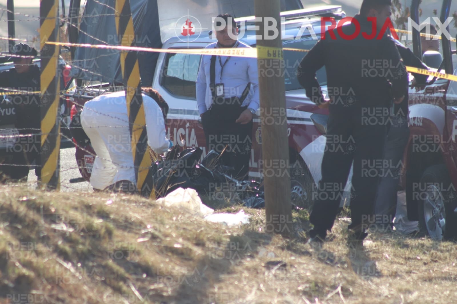 Hombre desmembrado de la colonia Tlacaele es el trabajador de El Tiburón