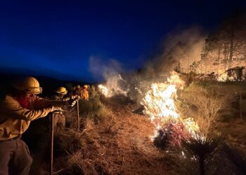 70 hectáreas afectadas en el municipio de Xiutetelco, a causa de un intenso incendio difícil de controlar a causa de las ráfagas de viento