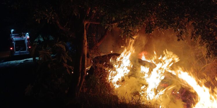 Liquidados nueve de 12 incendios registrados en Puebla