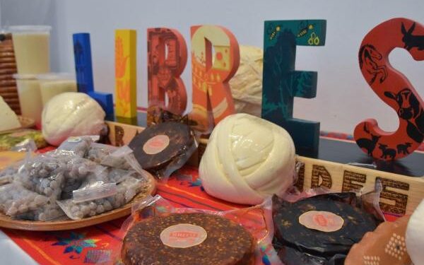 Muestra Feria de Puebla atractivos y representaciones artísticas del interior del estado
