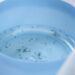 Puebla, sin hospitalizados ni defunciones por dengue en las últimas 24 horas: Salud
