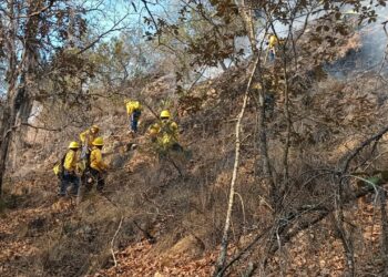 Controlan incendio forestal en Ixtacamaxtitlán