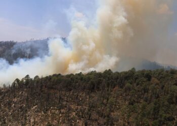 206 brigadistas controlan incendio en la  comunidad Rancho Viejo del municipio de Libres