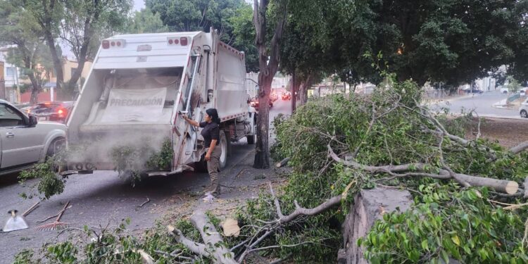 Ráfagas de viento provocan la caída de 5 árboles en la capital poblana