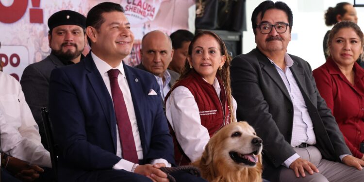 El PRIAN está muy nervioso y pretenden desalentar la votación: Morena