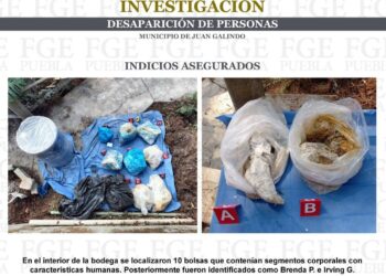 Asesinó, desmembró a su madre y a su hermano en Juan Galindo