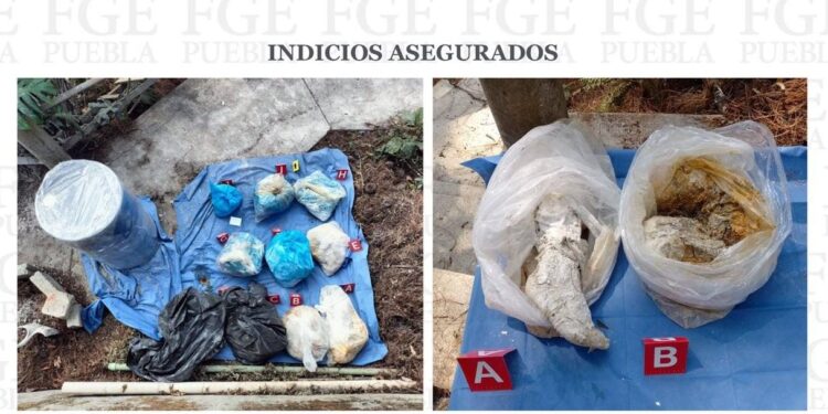 Asesinó, desmembró a su madre y a su hermano en Juan Galindo