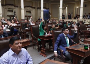 Diputados despenalizan el aborto en Puebla hasta 12 semanas de gestación