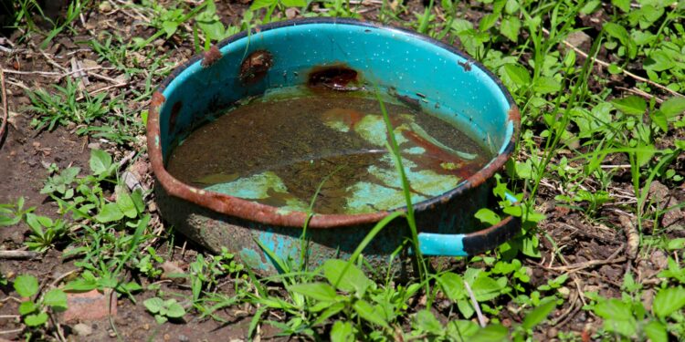 Ingresa Tehuacán a lista de municipios con más casos de dengue: Salud