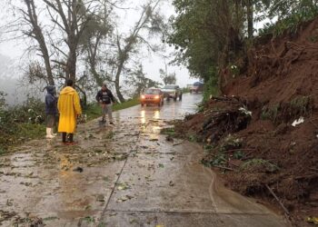 Se registran diversas afectaciones en Tlatlauquitepec por lluvias; hay árboles caídos