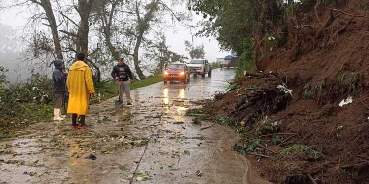 Se registran diversas afectaciones en Tlatlauquitepec por lluvias; hay árboles caídos