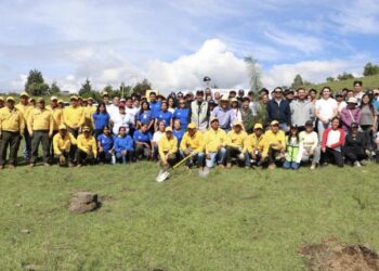 Recibirá ecorregión Valles Centrales más de 970 mil plantas para reforestar: Medio Ambiente
