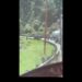 Persisten asaltos y robos en la autopista Puebla-Veracruz pese a operativos