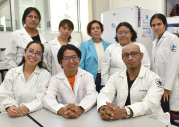 Extractos de pápalo y pipicha inhiben crecimiento de bacterias patógenas