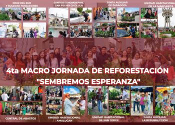 Jóvenes continúan jornada de reforestación impulsada por Alejandro Armenta