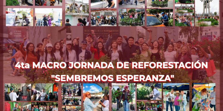 Jóvenes continúan jornada de reforestación impulsada por Alejandro Armenta
