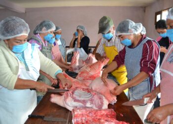 Granjas Carroll impulsa la economía regional en localidades de Veracruz y Puebla