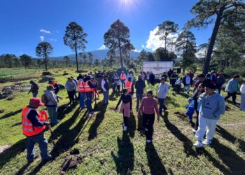 Granjas Carroll de México reforesta con más de 15 mil árboles el ejido Tenextepec