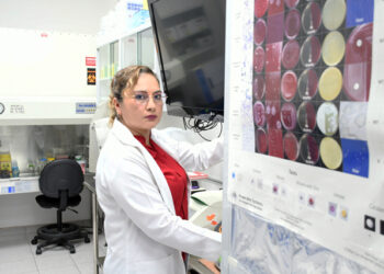 Investigadora BUAP estudia factores de virulencia en bacteria causante de diarreas infantiles