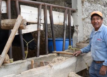 Carroll colabora en mitigar el impacto del Cambio Climático con la producción de forrajes