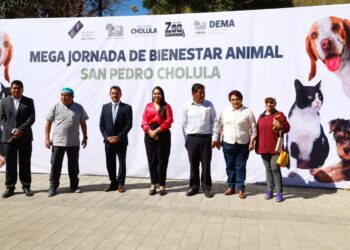 Realiza Gobierno de Cholula Mega Jornada de Esterilización
