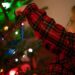 Santa Claus, duendes, carbón y otros relatos navideños determinan la conducta de infancias