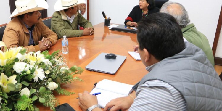 Gobierno de Alejandro Armenta impulsa a apicultores y promueve protección de las abejas