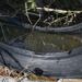 Concentran cinco municipios el 60.3% de los casos de dengue en Puebla: Salud
