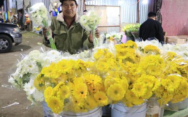 Mercado de Flores de Villa Frontera se prepara para el 14 de febrero