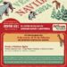 Invita Gobierno de Cholula a participar en la iniciativa «Verde Navidad»