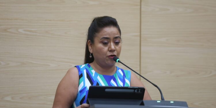Promueven en Congreso ejercicio de la lactancia materna sin discriminación