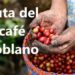 Gobierno de Alejandro Armenta impulsará la exportación de café a Europa