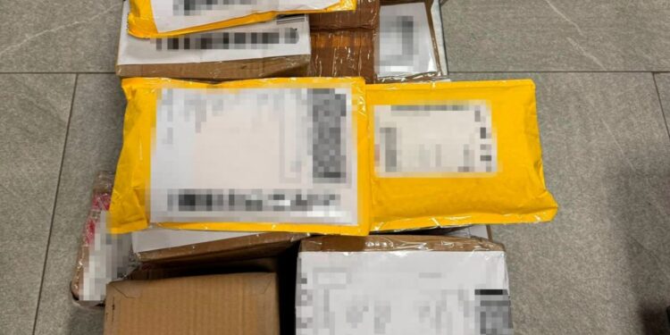 La SSC asegura más de 16 kilogramos de narcóticos en una empresa de paquetería