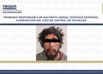 Recapturan a Luis N., alias «Cola Mocha» presunto agresor de ‘Huesitos’; entra a penal de Tehuacán