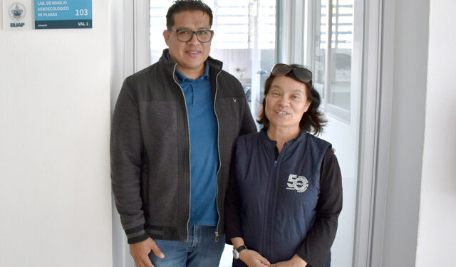 Investigadora del ICUAP estudia el comportamiento biológico de la plaga conocida como “gallina ciega” para su control