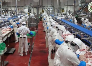 Planta Procesadora de Carne de Cerdo de Granjas Carroll cumple 6 años con altos estándares de calidad