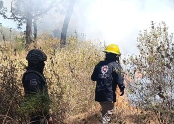 Policía Montada refuerza vigilancia en el Cerro Zapotecas y se suma al combate de incendios
