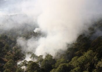 Combate inmediato y coordinado de incendios forestales en la zona Puebla-Tlaxcala