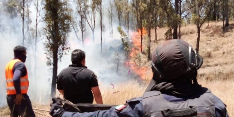 Policía y Bomberos de Cholula sofocan más de 20 incendios en el cerro zapotecas