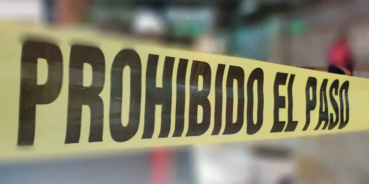 Autoridades y colectivo de búsqueda hallan siete fosas en Culiacán