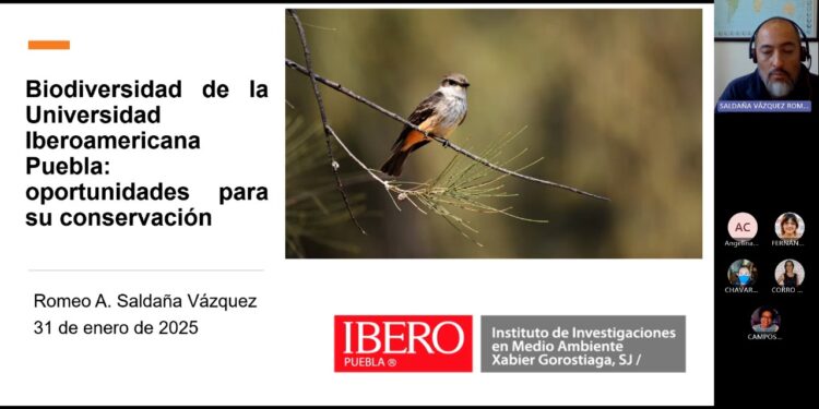 IBERO Puebla y otros campus, refugios de biodiversidad en Puebla